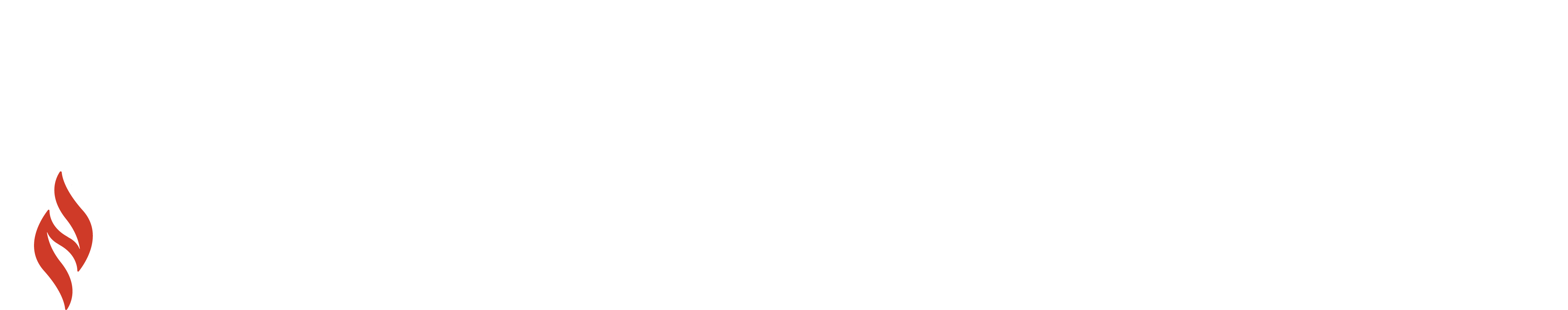 ANCC-Pathway-to-Excellence-RGB-white